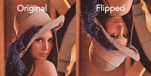 Flipped image