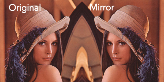 Mirrored image