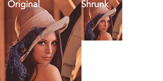 Shrunk image